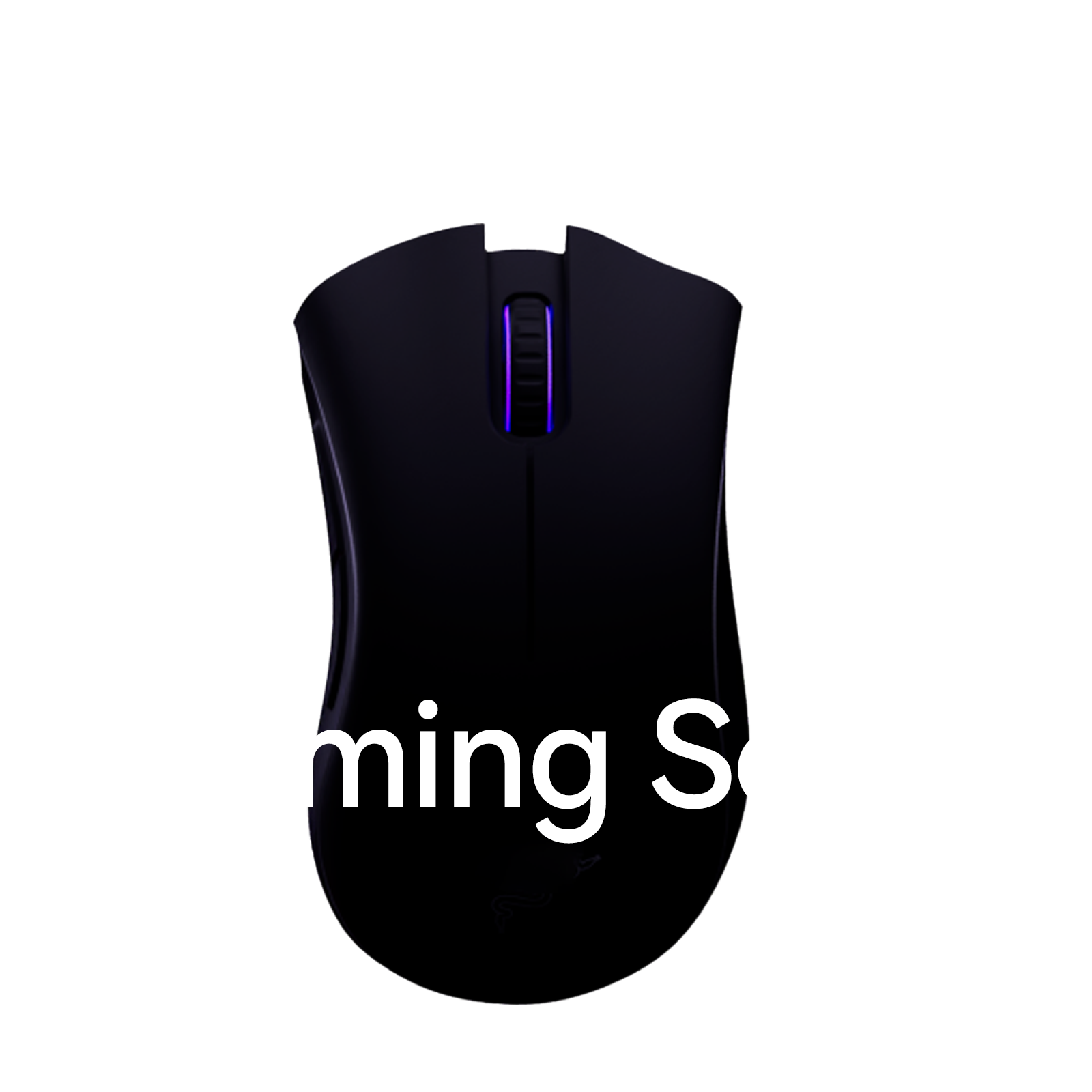 Mouse